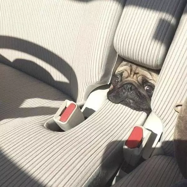 Hey Guys Whats Up