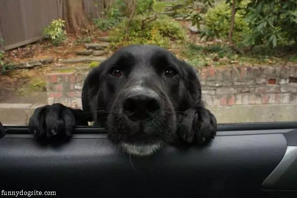 Can I Come Please