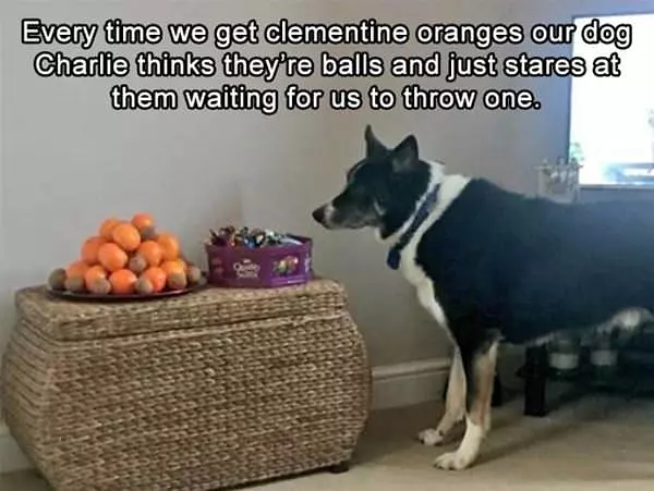 Can You Throw One Of Those