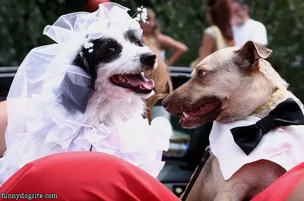 Just Married