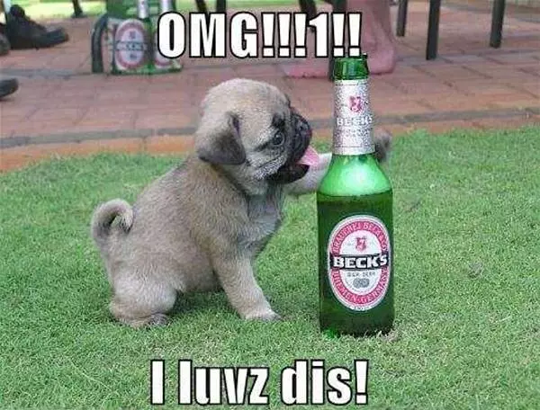 Omg I Loves Dis