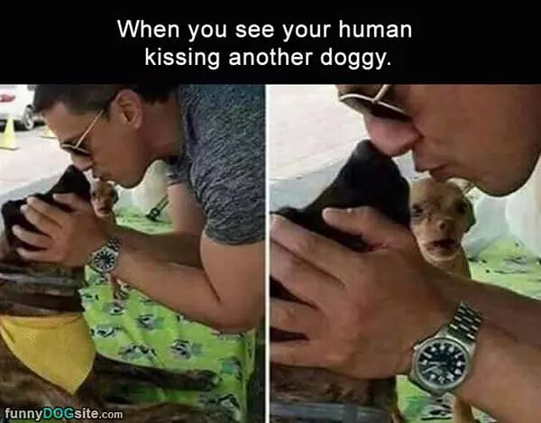 Your Human