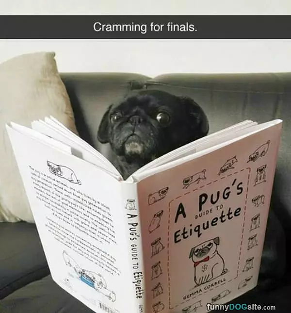 Cramming For Finals
