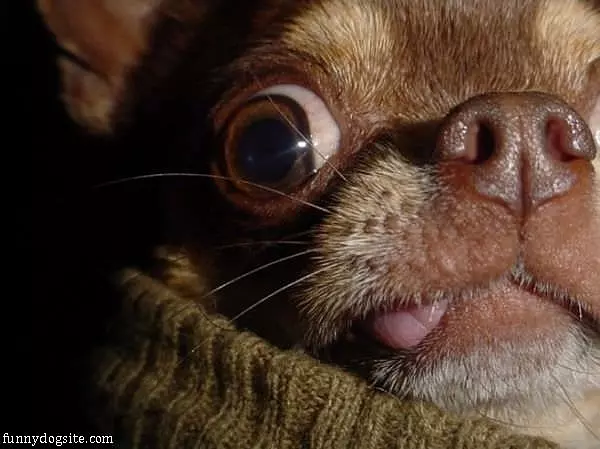 Extreme Closeup