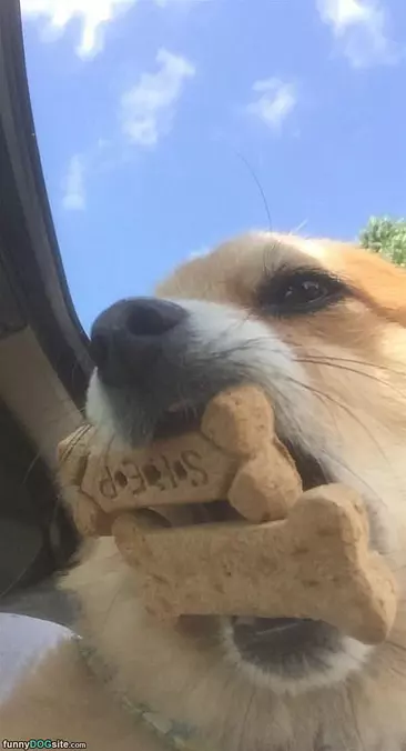 I Got Double Snacks