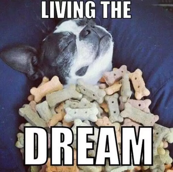 Living The Dream