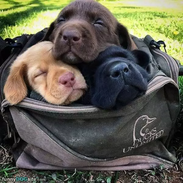 Stacking Up Some Cute