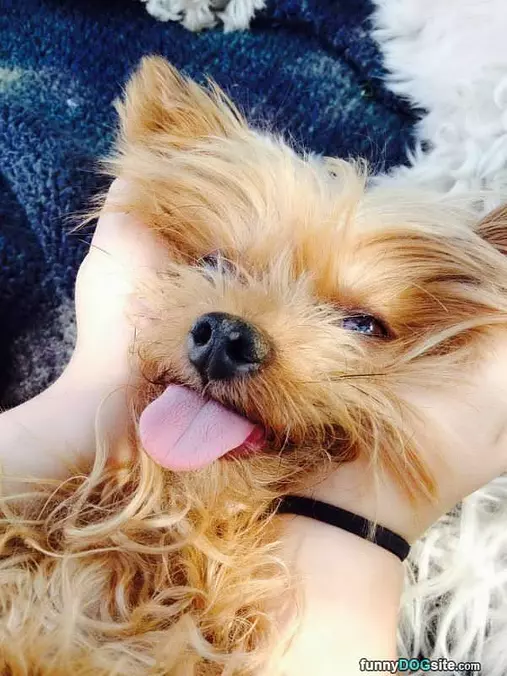 Being All Cute