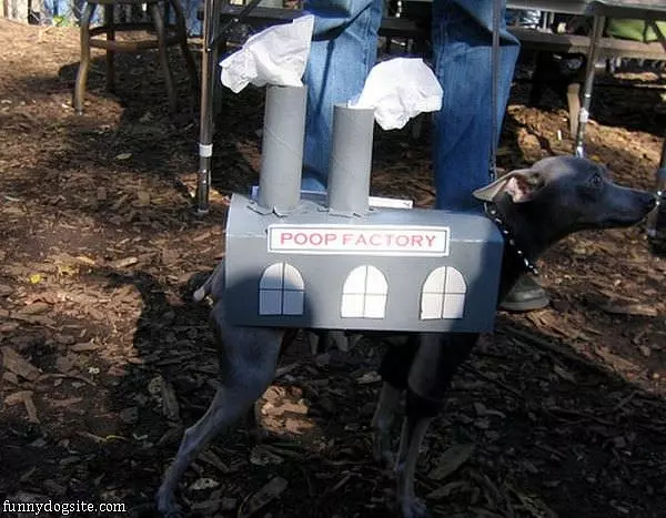 The Poop Factory