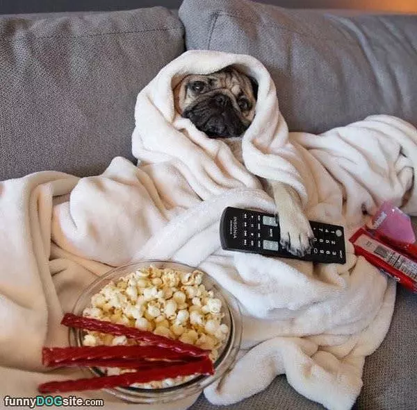 All Cuddled Up Here