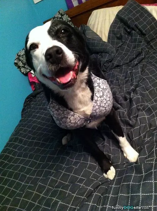 Getting Dressed Up
