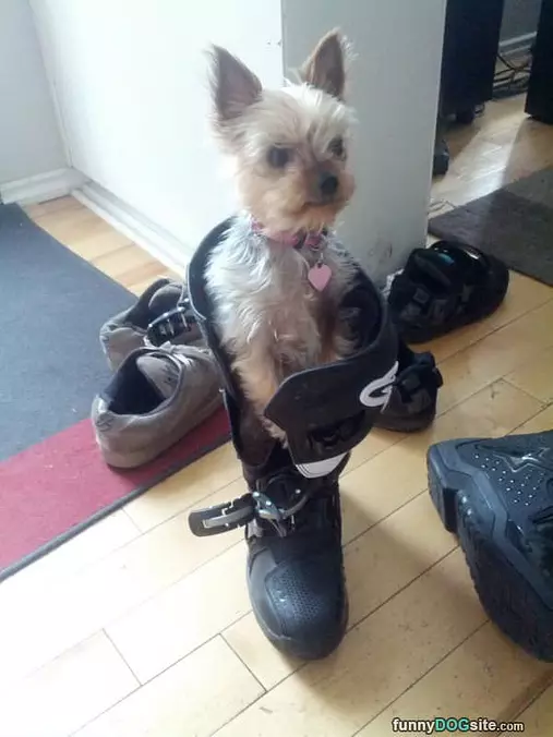 Hanging In My Boot