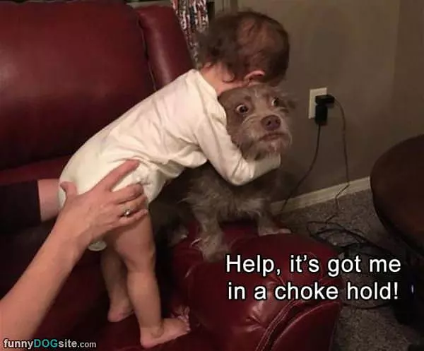 Please Help Me