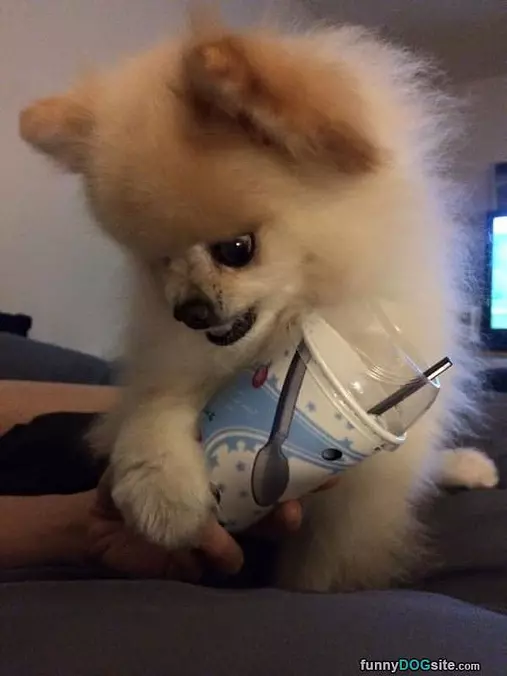 Now You Cant Have Any