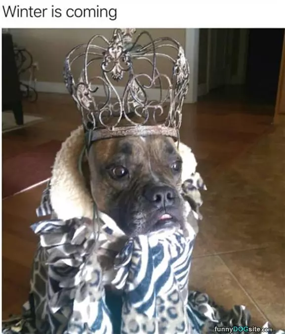 Winter Is Coming