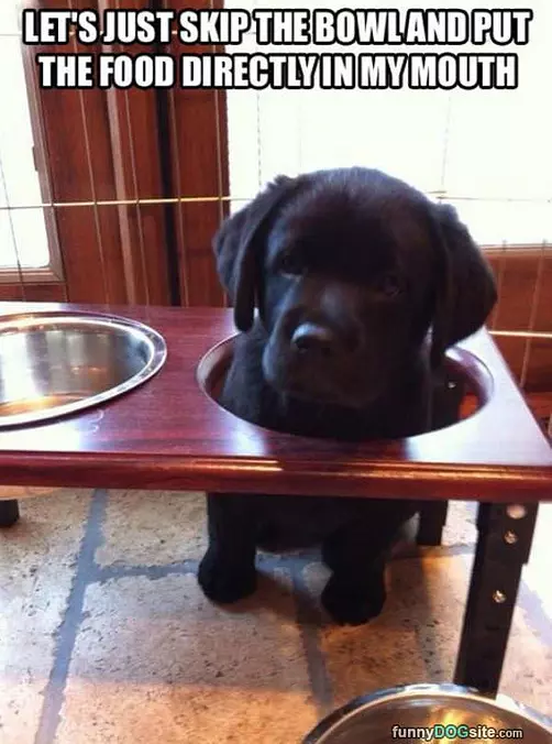 Skip The Bowl