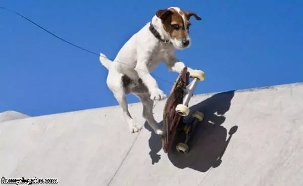 Skateboarding