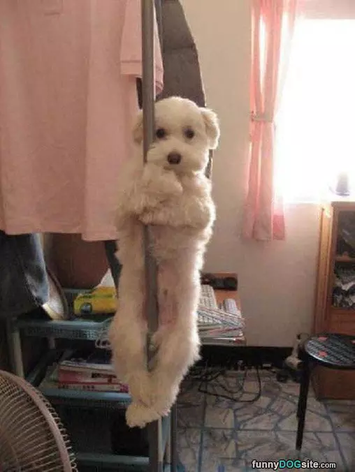 Climbing Up