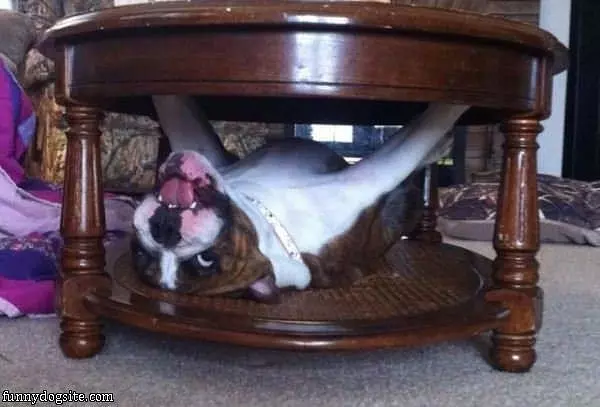 Here Under The Table