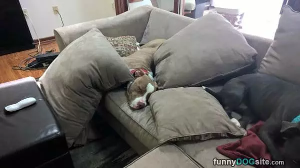 This Is Comfortable