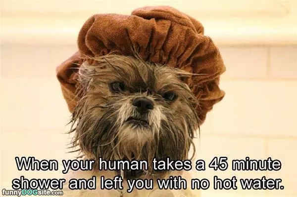 No Hot Water Left