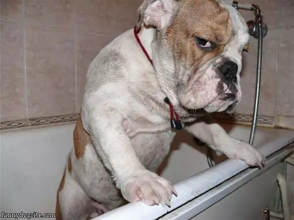 Hey No Baths Ok