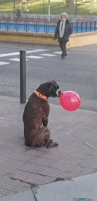 Got A Balloon
