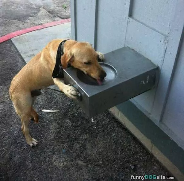 Getting A Sip