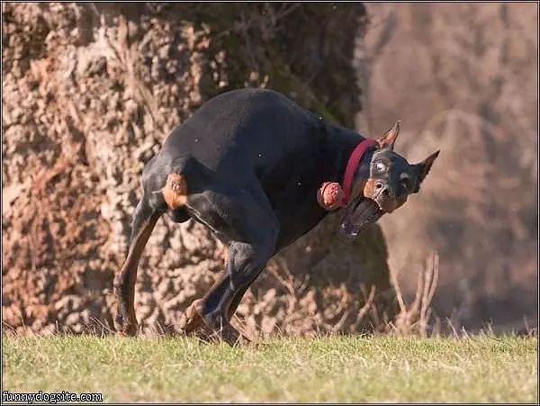 I Want That Ball