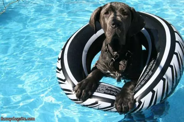 I Got A Floatie