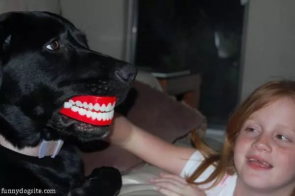 Doggy