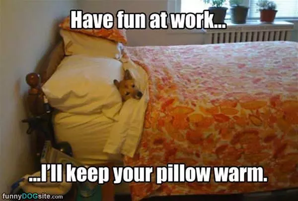 Have Fun At Work Today