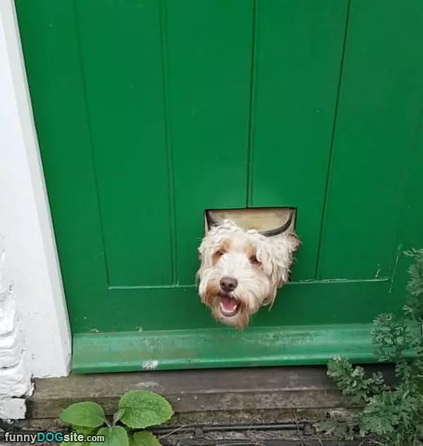 Hello World