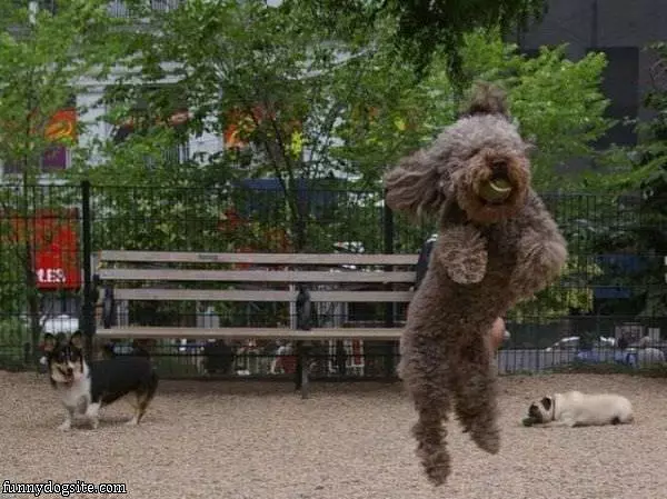 Huge Fetch