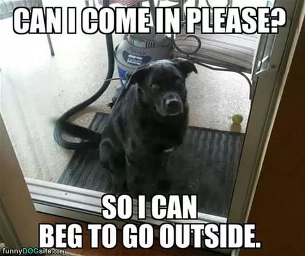 Can I Come In Please