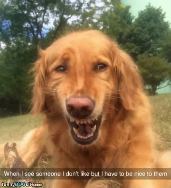 Someone I Dont Like