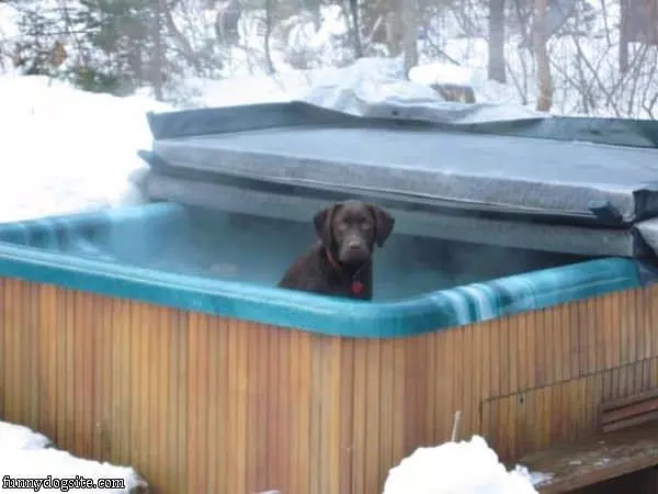 Relaxing In The Hot Tub