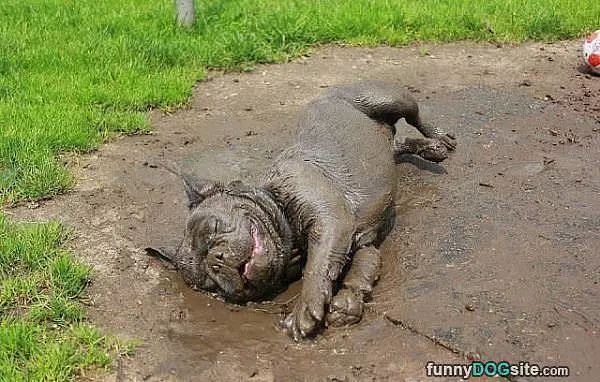 I Loooove The Mud