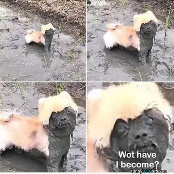 What Have I Become