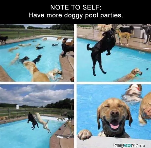 Not To Self