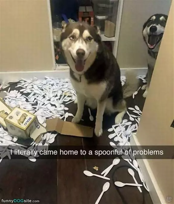 Spoonfull Of Problems