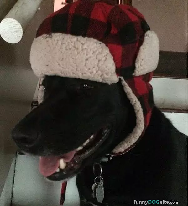 Cute Hat