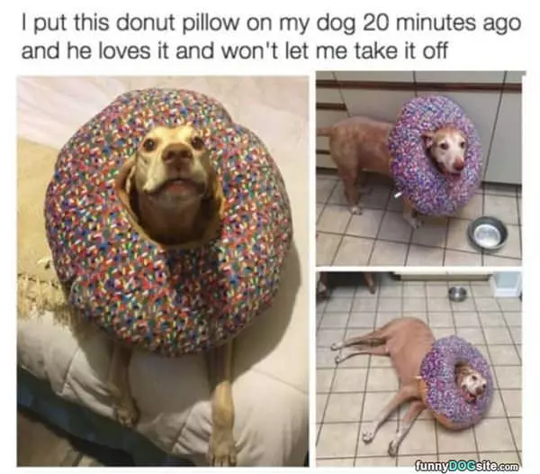 Do Not Take It Off