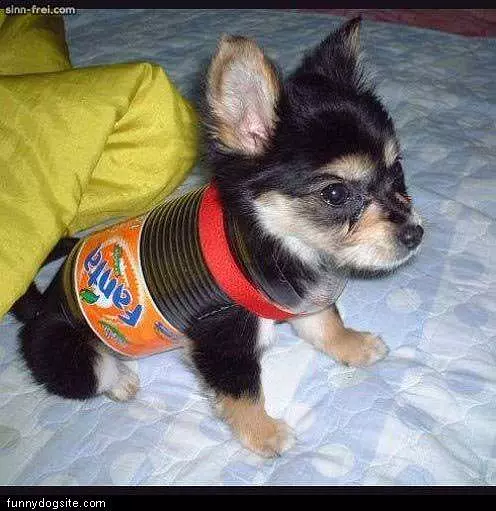 Fanta Mascot