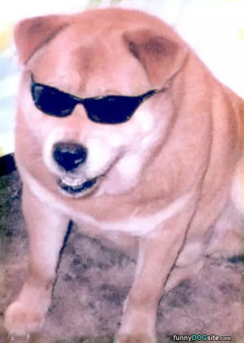 Bad To The Bone