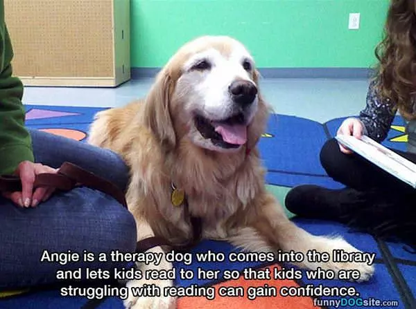 Teaching Kids To Read