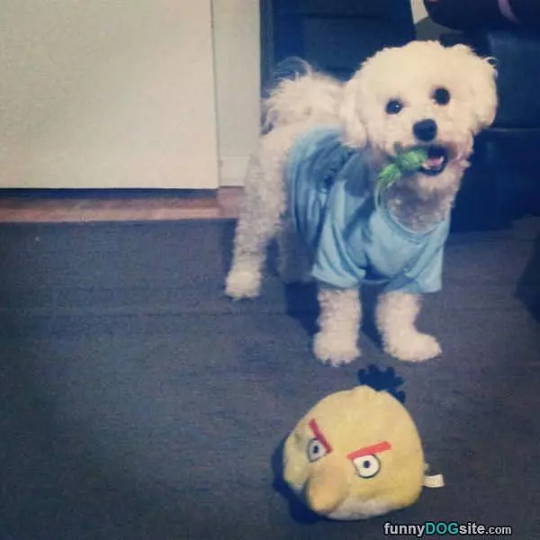 Hey Lets Play Now