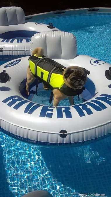 Out In The Pool