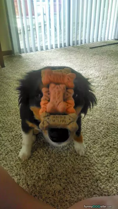 Snack Stacker