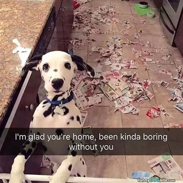 Been Boring Without You